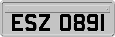 ESZ0891