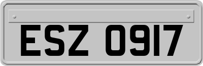 ESZ0917