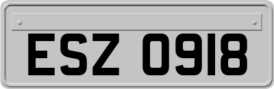ESZ0918