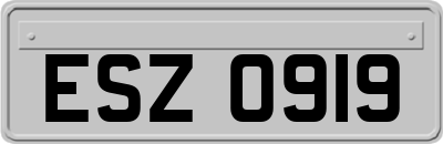 ESZ0919