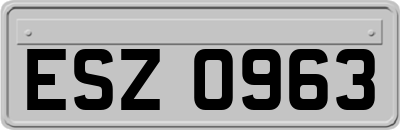 ESZ0963