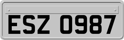 ESZ0987