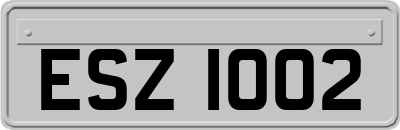 ESZ1002