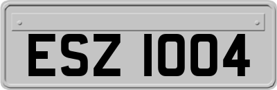 ESZ1004