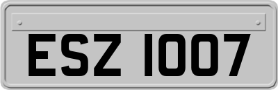 ESZ1007