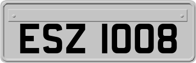 ESZ1008