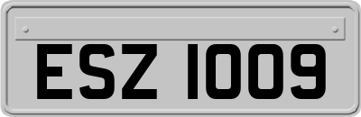 ESZ1009