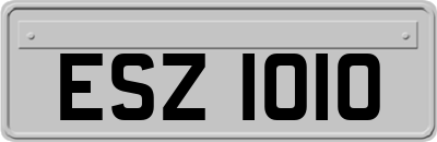 ESZ1010