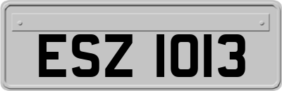 ESZ1013