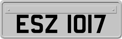 ESZ1017