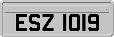 ESZ1019