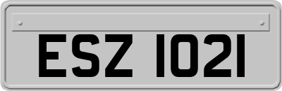 ESZ1021