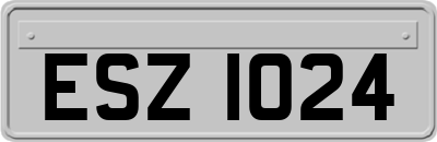 ESZ1024