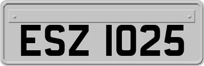 ESZ1025