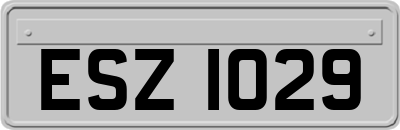ESZ1029