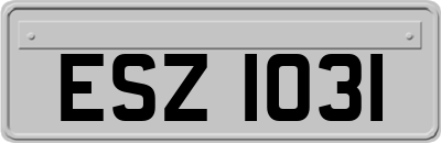 ESZ1031