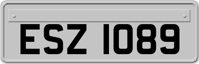 ESZ1089