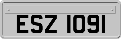 ESZ1091