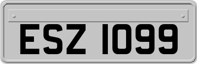 ESZ1099