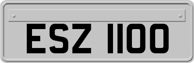 ESZ1100