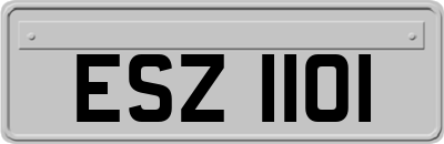 ESZ1101