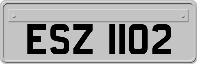 ESZ1102