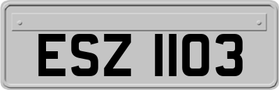 ESZ1103