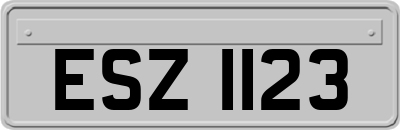 ESZ1123