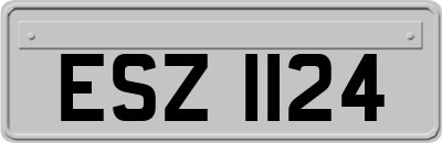 ESZ1124
