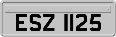 ESZ1125
