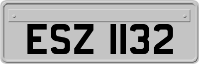 ESZ1132