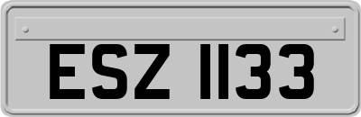 ESZ1133