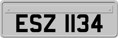 ESZ1134
