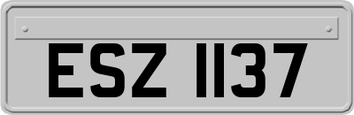 ESZ1137
