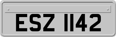 ESZ1142