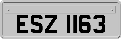 ESZ1163