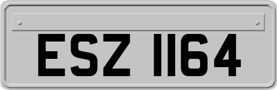 ESZ1164