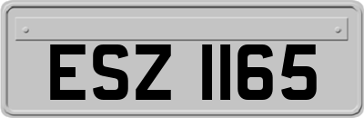 ESZ1165