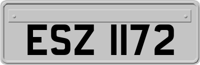 ESZ1172
