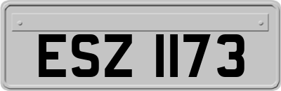 ESZ1173