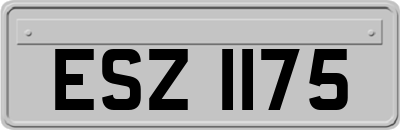 ESZ1175
