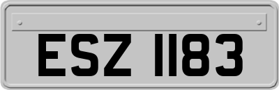 ESZ1183