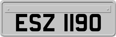 ESZ1190