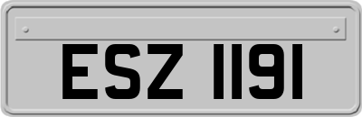ESZ1191