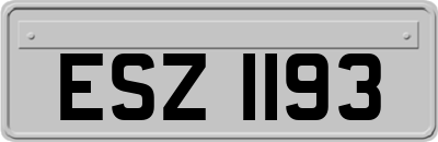 ESZ1193