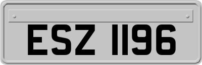 ESZ1196