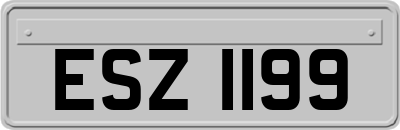 ESZ1199