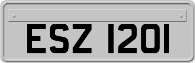 ESZ1201