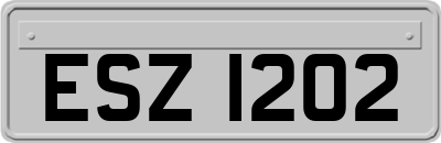 ESZ1202