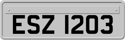 ESZ1203